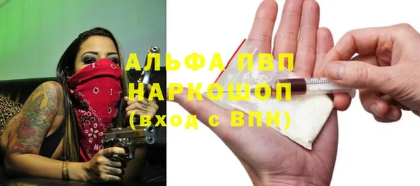 гидра Арсеньев