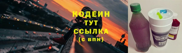 гидра Арсеньев