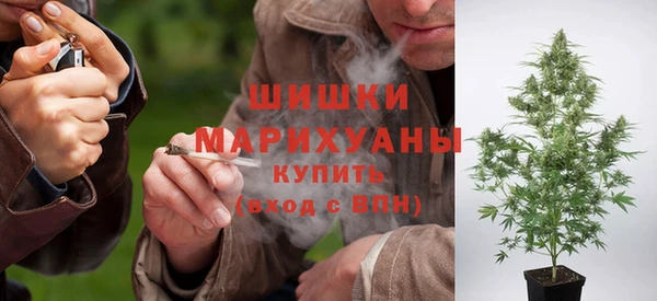 гидра Арсеньев