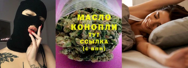 гидра Арсеньев