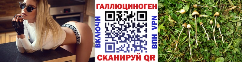 Галлюциногенные грибы прущие грибы  Купить закладки  Новосокольники 