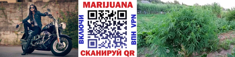 МАРИХУАНА ГИДРОПОН  Купить где  Новосокольники 